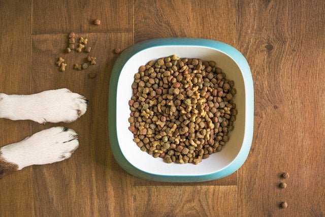 best dog food for pit bulls